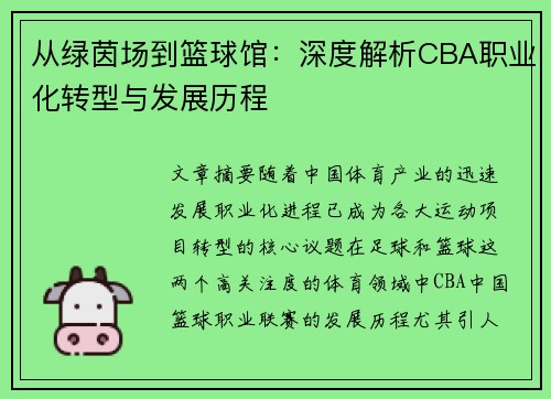 从绿茵场到篮球馆：深度解析CBA职业化转型与发展历程